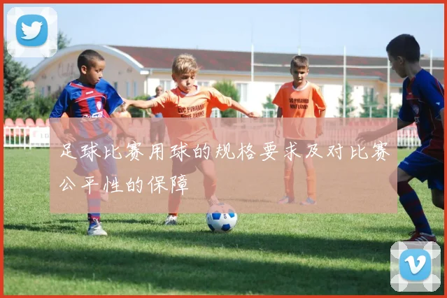 足球比赛用球的规格要求及对比赛公平性的保障